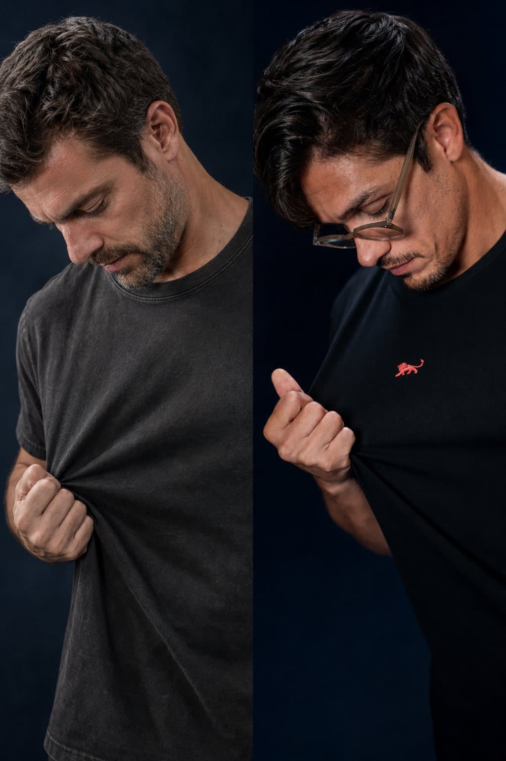 Comparação de durabilidade entre algodão comum e Best T-shirt Lion